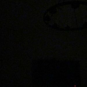 Meet your Posher, Dustin